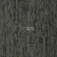 Линолеум Tarkett iq Optima DARK BEIGE GREY 0875 фото 1 | FLOORDEALER